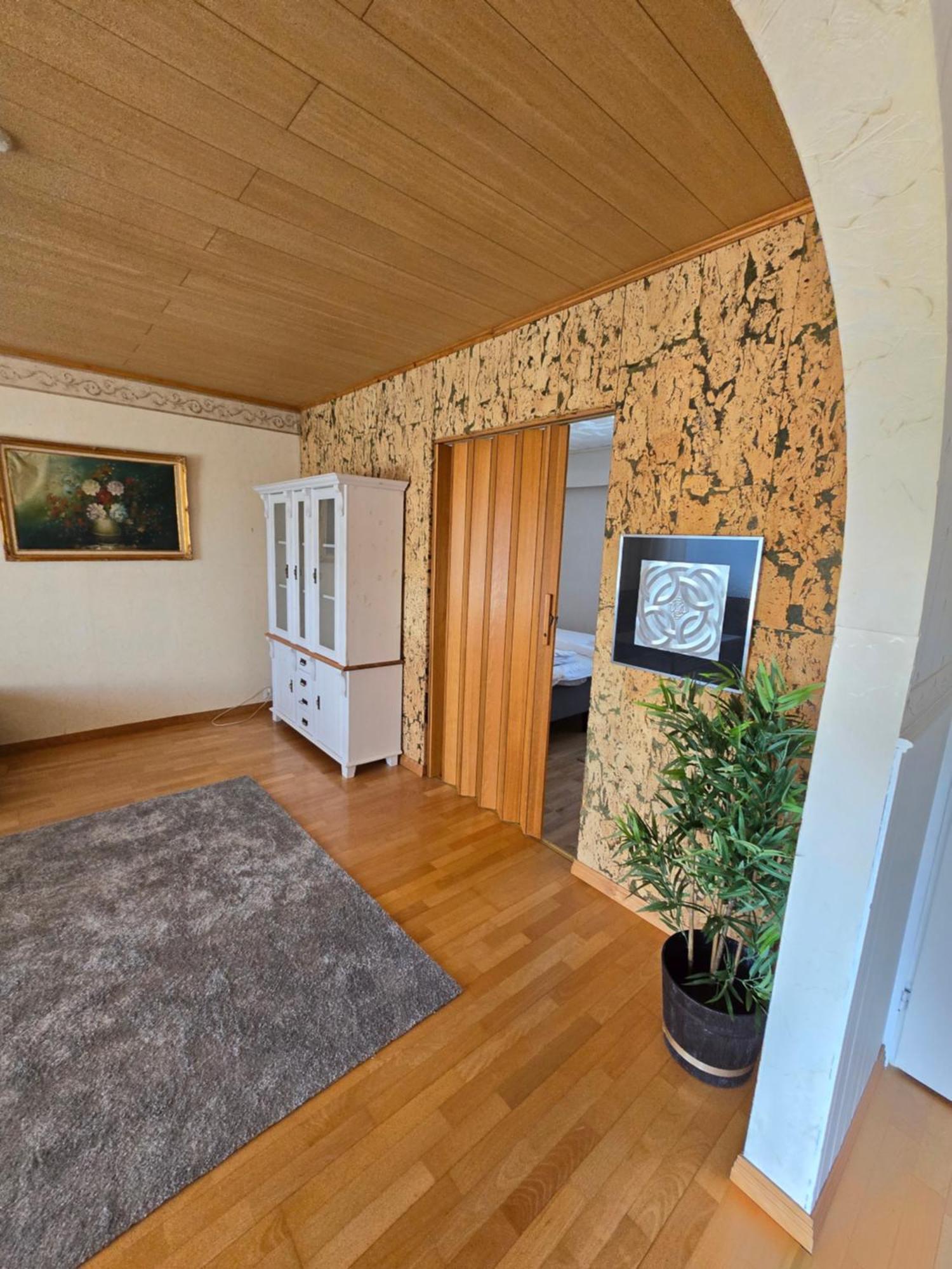 Anttoninvahe 7 130M2 With Garden And Sauna Etc 劳马 外观 照片